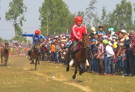 Tưng bừng ngày hội đua ngựa thồ ảnh 8